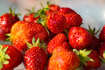 Ripe strawberries offered for making fresh juice, dessert and alcohol cocktail.
