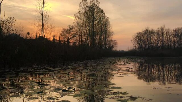 A video shot at sunset between the long trees with a drone in Sakarya Karasu Lake which is in Turkey. It is a real natural beauty.
