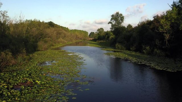 A video shot at sunset between the long trees with a drone in Sakarya Karasu Lake which is in Turkey. It is a real natural beauty.
