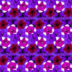 Fototapeta na wymiar Seamless pattern with red, purple, violet Petunia flowers on purple background. Endless colorful floral texture. Raster illustration.