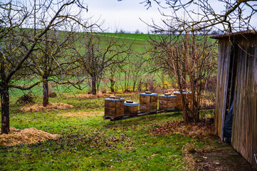 The wooden bee boxes on the grassy field surrounded by trees in the countryside