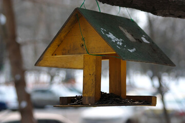 bird feeder with seeds poured into it