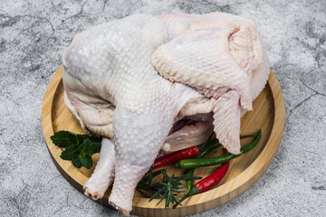Raw chicken with spices and cilantro ready to be prepared. Copy space background.