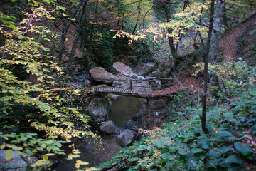 An old bridge among the trees and leafs. There are stones, water, moss under the bridge.