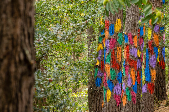 bosque de Oma,Evocaci&oacute;n al mundo at&oacute;mico del puntillismo   ,1984, Agustin Ibarrola,Kortezubi, Vizcaya,Euzkadi, Spain
