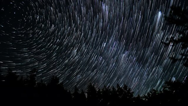 Time lapse of comet-shaped star trails over the forest in the night sky. Stars move around a polar star. 4K