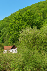 Fototapeta na wymiar Traditional rural landscape in mountains. Carpathians, Ukraine.