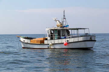Naklejka premium Fishing boat in the sea
