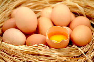 Egg - Eggs - Yolk - Protein - Farm - Chicken - Organic