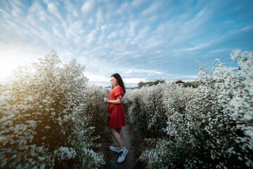 Portrait of asian Young woman happy traveler with red dress enjoying in white blooming or White...