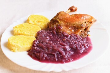 Traditional Czech homemade holiday food. Roast duck with cabbage and potato dumplings.