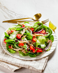 Chicken and vegetable salad with baby spinach