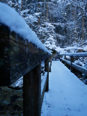 Wanderung am Hintersee in Bayern.