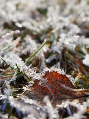 Frost an einem kalten Wintertag.