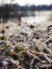 Frost an einem kalten Wintertag.