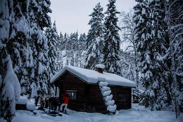 Winter landscape in Oulanka National Park, Lapland, Finland