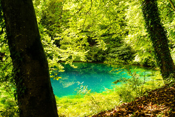 Beautiful view of the Blautopf, a colorful river head in the city of Blaubeuren, Germany surrounded by green plants and trees. The blue-turquoise is unique for this location.
