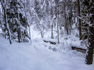 Winter landscape in Oulanka National Park, Lapland, Finland