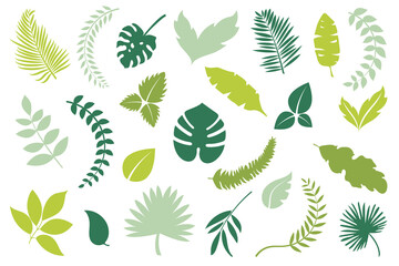 Different green leaves. Vector various shape leaf collection. Elements for design