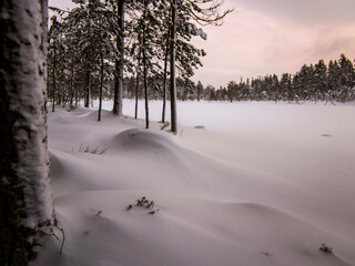 Winter landscape in Oulanka National Park, Lapland, Finland