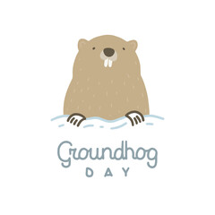Vector illustration on the theme of Groundhog Day on February 2. Decorated with a lettering and Groundhog.