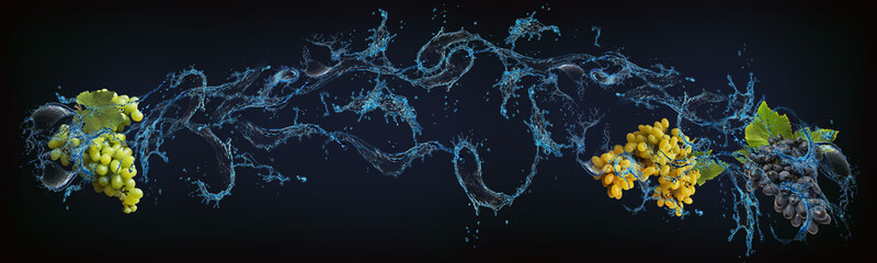 Panorama with fruits in water, beautiful background for designers with sweet grapes