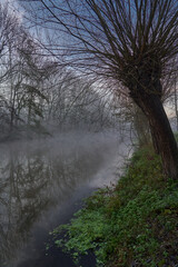 Foggy Morning Landscape and water