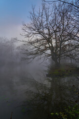 Obraz na płótnie Canvas Foggy Morning Landscape and water