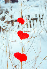 Valentine's day, red heart in the snow