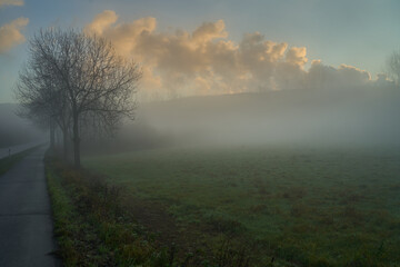 Foggy Morning Landscape and water