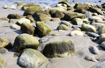 Arctic shoreline, beach with sand and  mossy rocks, stone pile and sea water, landscape scenery