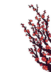 illustration of red plum blossoms
