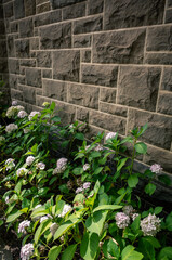 stone wall and garden