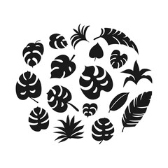 Set of hand-drawn tropical leaves cliparts on white background