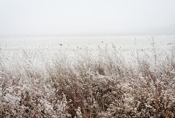 The first snow in the plains of Vojvodina. Novi Sad, Serbia 