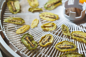 kiwi crisps on dehydrator