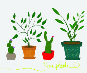 Home plants in colored pots flat illustration. With handwriting at the bottom in one line. Design for postcards, backgrounds, individual objects, general furnishings, textiles. 
