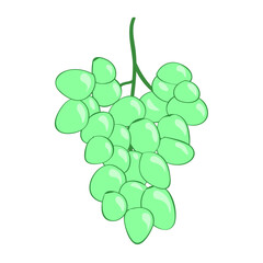 Illustration of green grapes - a bunch of green isolated on white background. Grape flat icon.