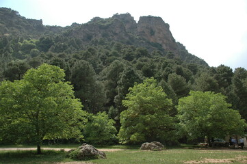 Paisaje fluvial rio mundo