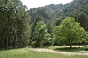 Paisaje fluvial rio mundo