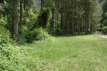 Paisaje fluvial rio mundo