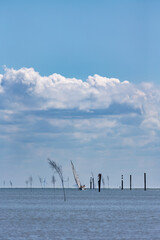 Sail boat in the wadden sea at the East Frisian island Juist, Germany.