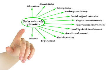 Twelve Determinants of Health