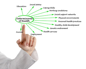 Twelve Determinants of Health