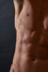 Fototapeta premium pectoraux