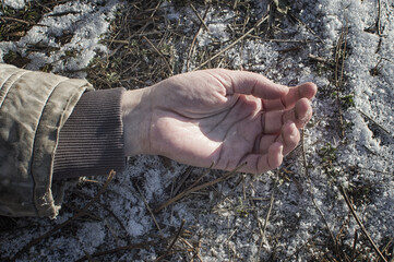 Murder. The dead man's hand lies on the melting snow.