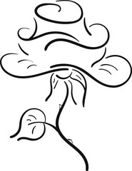 hand drawn illustration rose