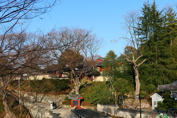 Nature Scenic Area of Jinju Castle Park in Korea