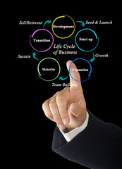 Five stages of Life Cycle of Business.