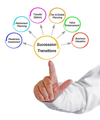 Five Components of Succession Transitions
